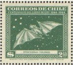 Colnect-2101-252-Red-Fruit-Bat-Stenoderma-chilensis.jpg