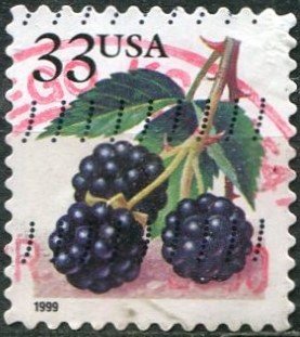 Colnect-3958-101-Fruit-Berries-Blackberries.jpg