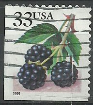 Colnect-3972-634-Fruit-Berries-Blackberries.jpg