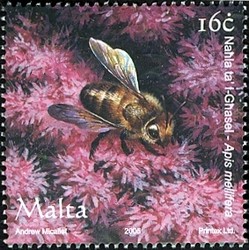 Colnect-657-586-Honey-Bee-Apis-mellifera.jpg