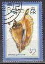 Colnect-1164-020-Rooster-Conch-Strombus-gallus.jpg