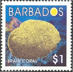 Colnect-1756-412-Brain-Coral-Colpohyllia-sp.jpg