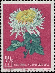 Colnect-485-654-Chrysanthemum.jpg