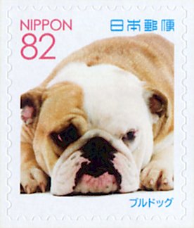 Colnect-5284-658-Bulldog-Canis-lupus-familiaris.jpg