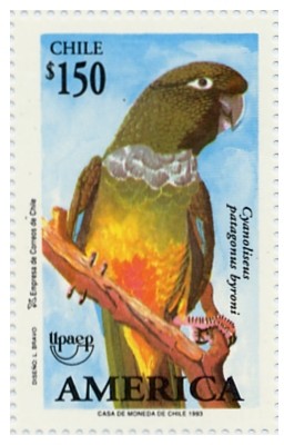 Colnect-558-285-Burrowing-Parrot-Cyanoliseus-patagonus-byroni-.jpg
