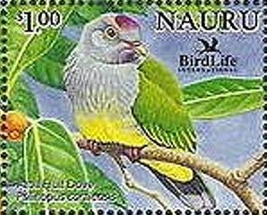 Colnect-1222-668-Atoll-Fruit-dove-Ptilinopus-coralensis.jpg