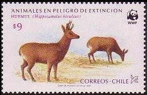 Colnect-1598-524-South-Andean-Deer-Hippocamelus-bisulcus.jpg