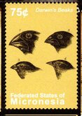 Colnect-5975-492-Darwin-s-drawings-of-finch-beaks.jpg