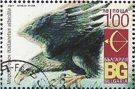Colnect-1839-850-White-tailed-Eagle-Haliaeetus-albicilla.jpg