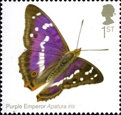 Colnect-1893-246-Purple-Emperor-Apatura-iris-.jpg