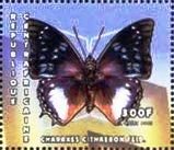 Colnect-4742-206-Blue-spotted-Emperor-Charaxes-cithaeron.jpg