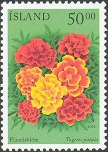 Colnect-1126-603-Summer-Flowers-V---Marigold.jpg