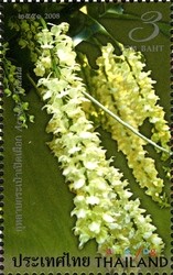 Colnect-1671-060-Flora-Orchids.jpg