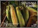 Colnect-3056-840-UN-70th-anniversary-food-and-agriculture-organization.jpg