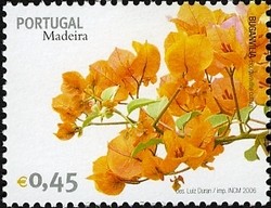 Colnect-546-321-Madeira-Flowers-Bougainvillea.jpg