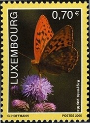 Colnect-858-540-Silver-washed-Fritillary-Argynnis-paphia.jpg