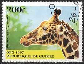 Colnect-1091-693-Giraffe-Giraffa-camelopardalis.jpg
