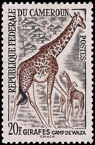 Colnect-1398-017-Giraffe-Giraffa-camelopardalis.jpg