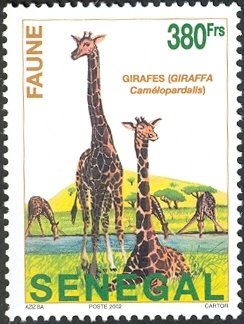 Colnect-1618-839-Giraffe-Giraffa-camelopardalis.jpg
