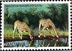 Colnect-1690-440-Giraffe-Giraffa-camelopardalis.jpg