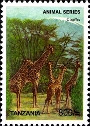 Colnect-1692-508-Giraffe-Giraffa-camelopardalis.jpg