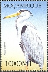 Colnect-1486-293-Grey-Heron-Ardea-cinerea.jpg