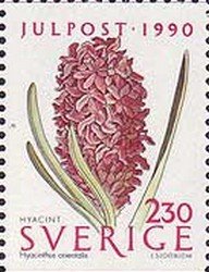 Colnect-431-666-Hyacinth-Hyazinthus-orientalis.jpg