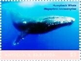 Colnect-6436-359-Humpback-whale.jpg