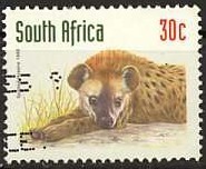 Spotted-hyena.jpg