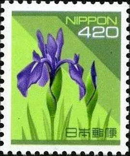 Colnect-708-663-Iris-japonica.jpg