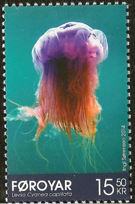 Colnect-2268-440-Lion-s-Mane-Jellyfish-Cyanea-capillata.jpg