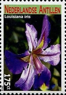 Colnect-4563-016-Louisiana-iris.jpg