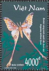Colnect-1656-122-Madagascan-Moon-Moth-Argema-mittrei.jpg