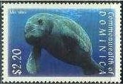 Colnect-3254-655-West-Indian-Manatee-Trichechus-manatus.jpg