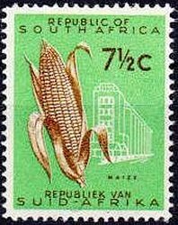 Colnect-6061-252-Maize-Zea-mays.jpg