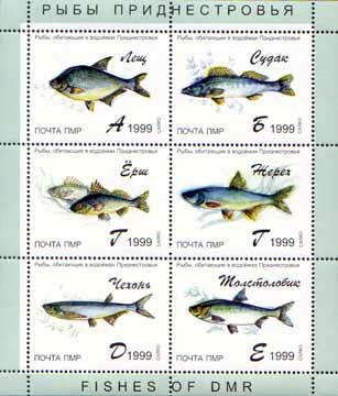 Colnect-2033-541-Sheet-of-6-Fish-of-the-PMR.jpg