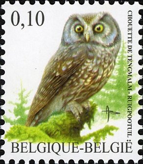 Colnect-4431-105-Boreal-Owl-Aegolius-funereus.jpg