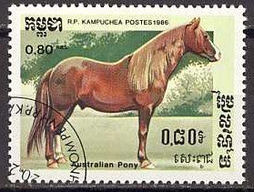 Colnect-1189-755-Australian-Pony-Equus-ferus-caballus.jpg