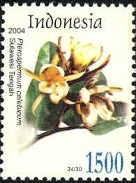 Colnect-1586-585-Flora---Pterospermum-celebicum.jpg