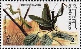 Colnect-3478-615-Praying-mantis.jpg
