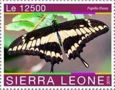 Colnect-6336-909-Papilio-thoas.jpg