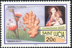 Colnect-1712-593-Ginger-root---Sorrel-flowers.jpg