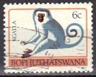 Colnect-1011-676-Savanna-monkey.jpg