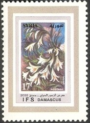Colnect-1428-709-Syrian-flowers.jpg
