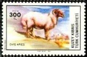 Colnect-1687-449-Domestic-Sheep-Ovis-ammon-aries.jpg