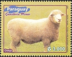 Colnect-1707-875-Domestic-Sheep-Ovis-ammon-aries.jpg