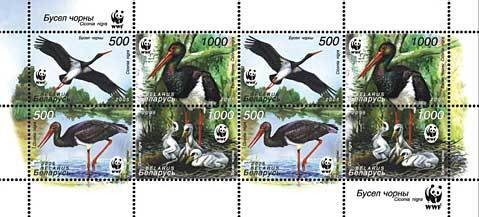 Colnect-191-590-Black-stork-Ciconia-nigra.jpg