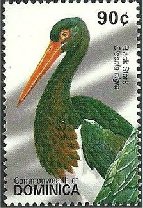 Colnect-3277-670-Black-Stork-Ciconia-nigra.jpg