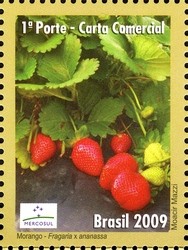 Colnect-411-620-Strawberries.jpg
