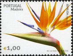 Colnect-546-319-Madeira-Flowers-Strelitzia-Strelitzia-reginae.jpg